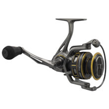 Lew's Custom Pro Spinning Reel